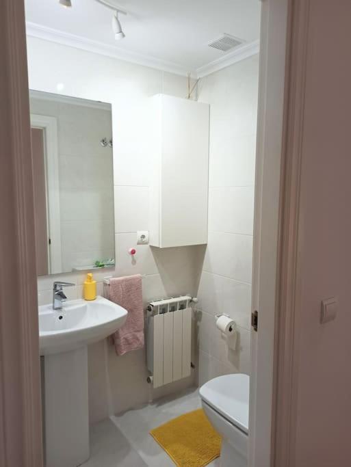 Apartamento Bajo Con Jardin Privado Santander Exterior foto
