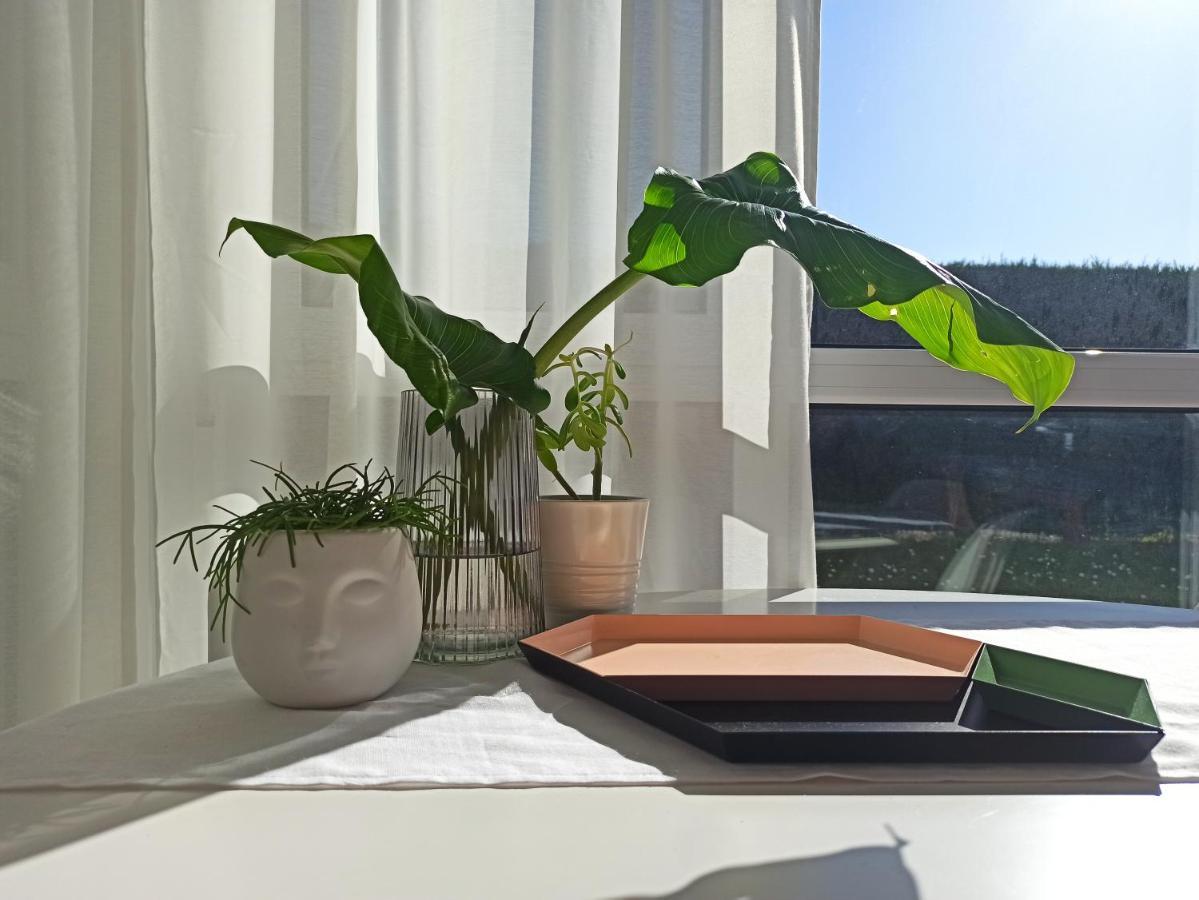 Apartamento Bajo Con Jardin Privado Santander Exterior foto